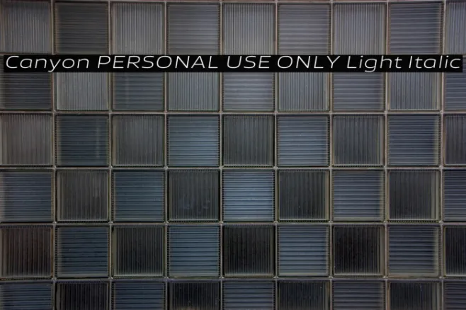 Canyon PERSONAL USE ONLY Light Italic Example 1