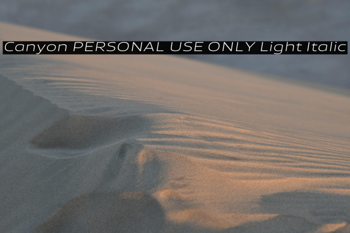Canyon PERSONAL USE ONLY Light Italic Example 2