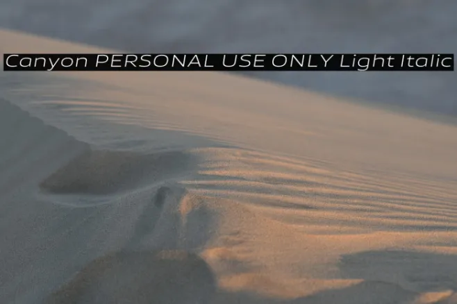 Canyon PERSONAL USE ONLY Light Italic Example 2