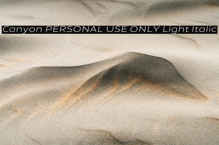 Canyon PERSONAL USE ONLY Light Italic Example 3
