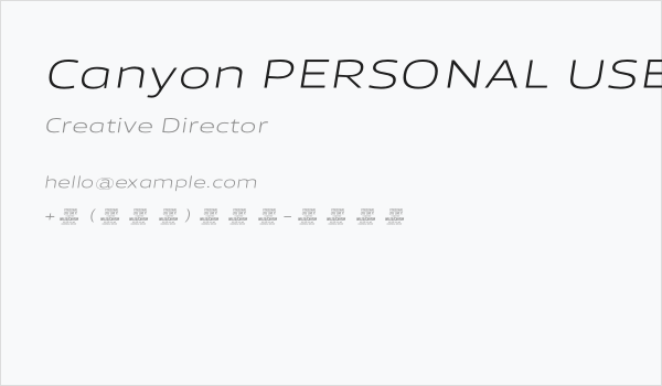 Canyon PERSONAL USE ONLY Light Italic Business Card
