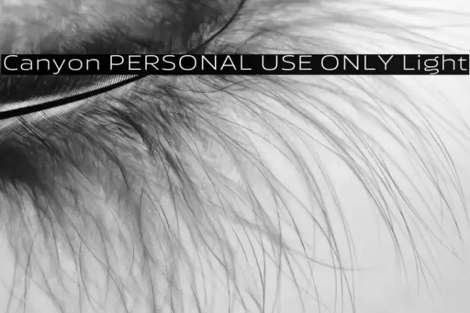 Canyon PERSONAL USE ONLY Light Font examples