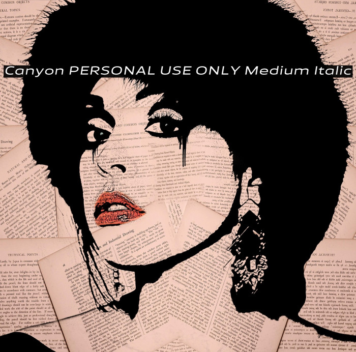 Canyon PERSONAL USE ONLY Medium Italic Example 1