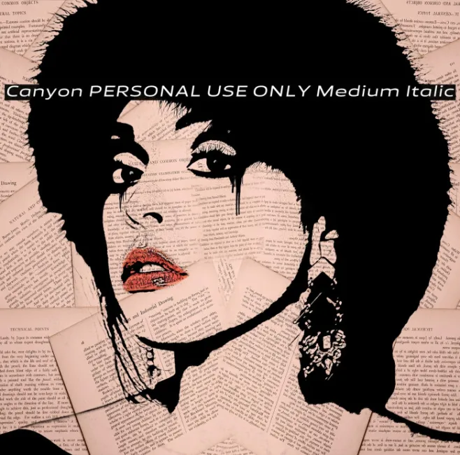 Canyon PERSONAL USE ONLY Medium Italic Example 1