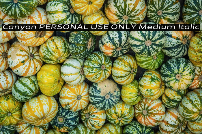 Canyon PERSONAL USE ONLY Medium Italic Example 2