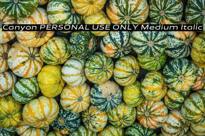 Canyon PERSONAL USE ONLY Medium Italic Example 2