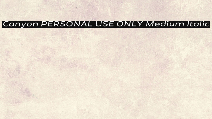 Canyon PERSONAL USE ONLY Medium Italic Example 3