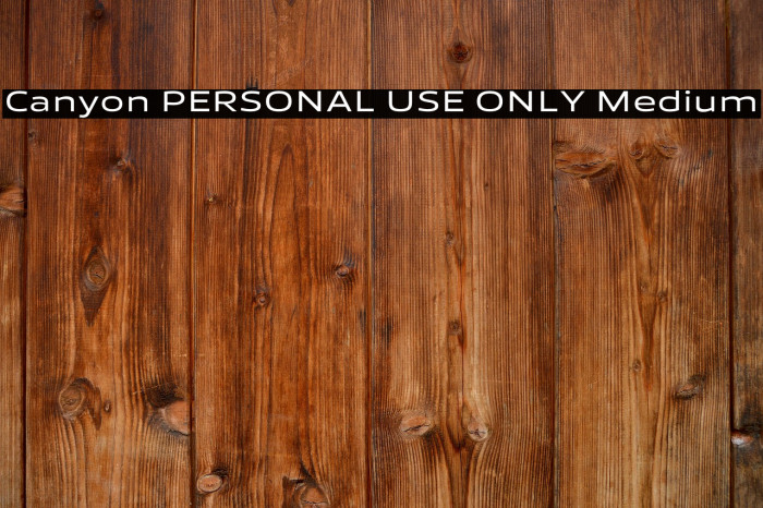 Canyon PERSONAL USE ONLY Medium Example 1