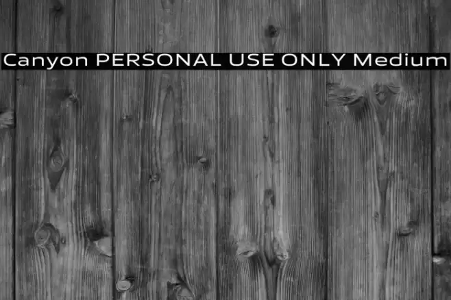 Canyon PERSONAL USE ONLY Medium Font examples