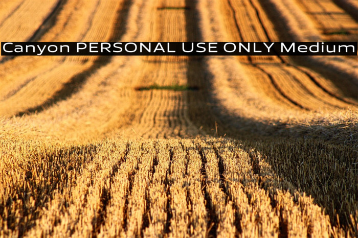 Canyon PERSONAL USE ONLY Medium Example 2