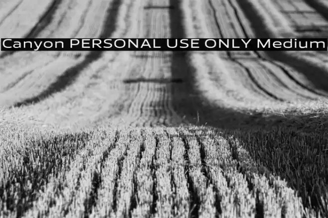 Canyon PERSONAL USE ONLY Medium Font examples