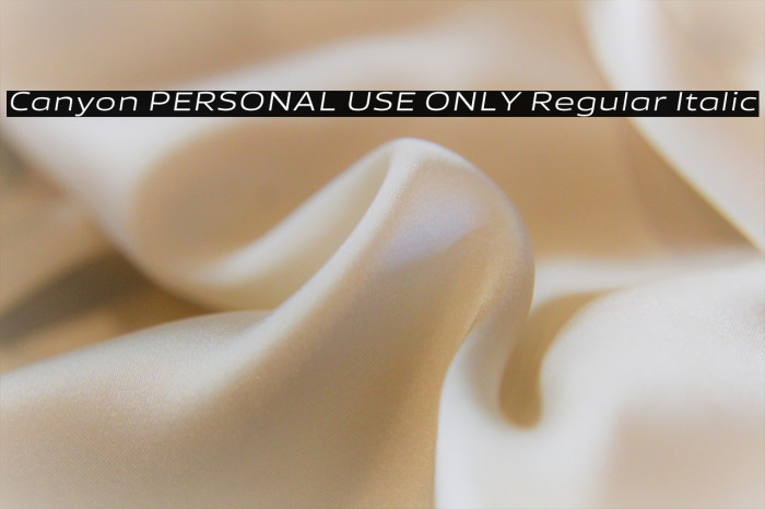 Canyon PERSONAL USE ONLY Regular Italic Example 1