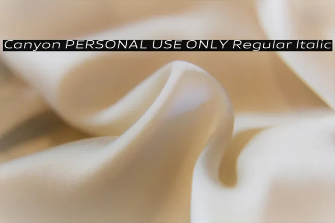 Canyon PERSONAL USE ONLY Regular Italic Example 1