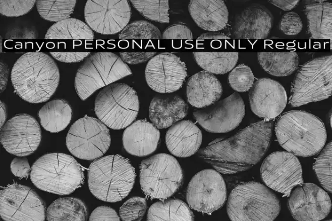 Canyon PERSONAL USE ONLY Regular Font examples