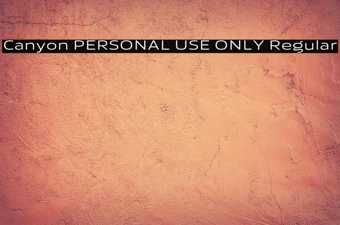 Canyon PERSONAL USE ONLY Regular Example 2