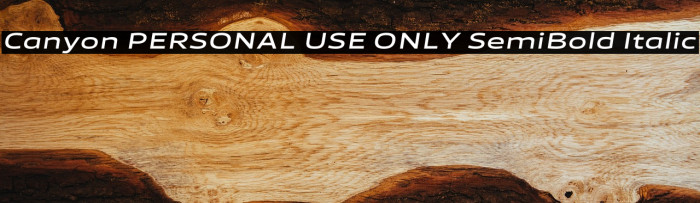 Canyon PERSONAL USE ONLY SemiBold Italic Example 3