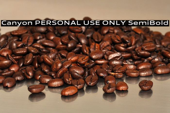 Canyon PERSONAL USE ONLY SemiBold Example 2