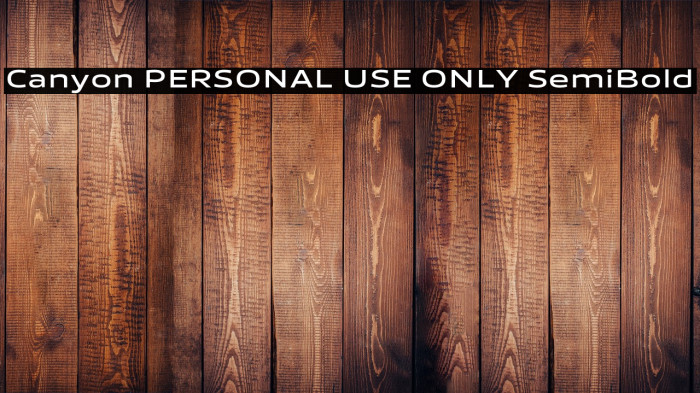 Canyon PERSONAL USE ONLY SemiBold Example 3