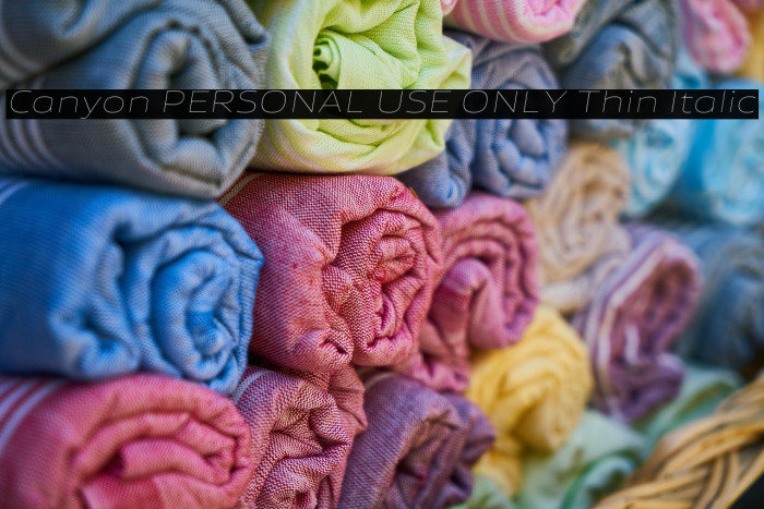 Canyon PERSONAL USE ONLY Thin Italic Example 3