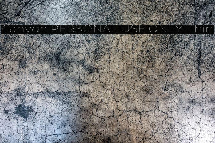 Canyon PERSONAL USE ONLY Thin Example 1