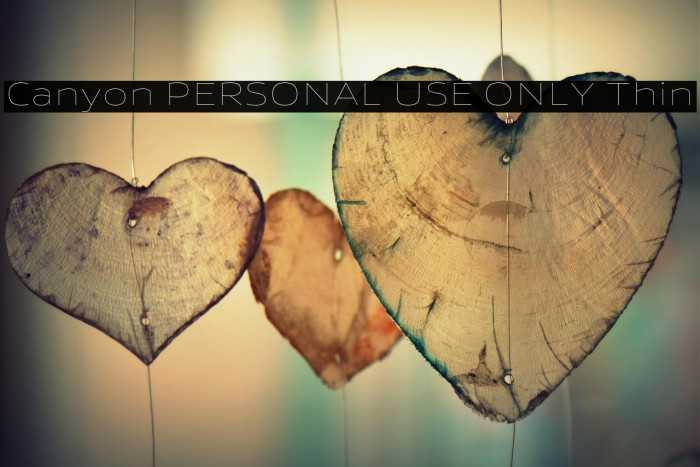 Canyon PERSONAL USE ONLY Thin Example 2