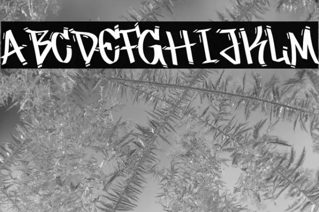 Canyon Street Caratteri examples