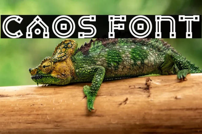 Caos Example 1