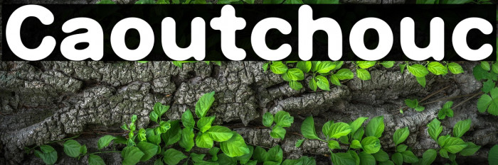 Caoutchouc Example 1