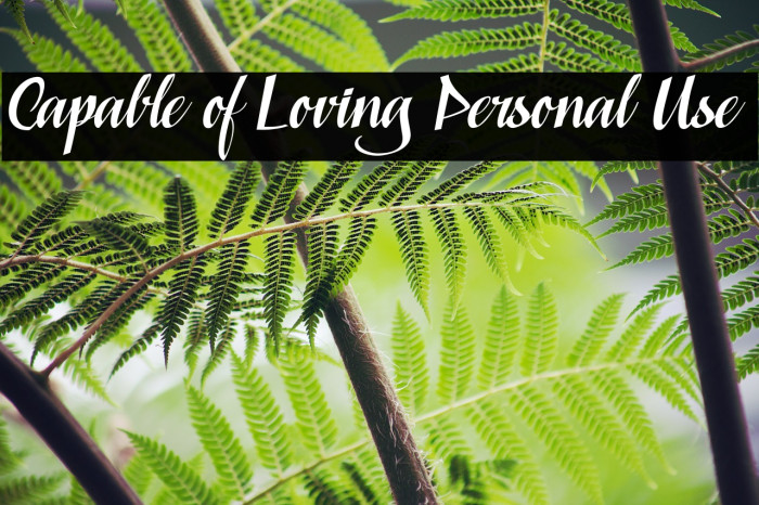 Capable of Loving Personal Use Font examples