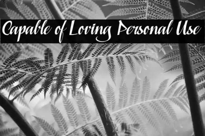 Capable of Loving Personal Use 字体 examples