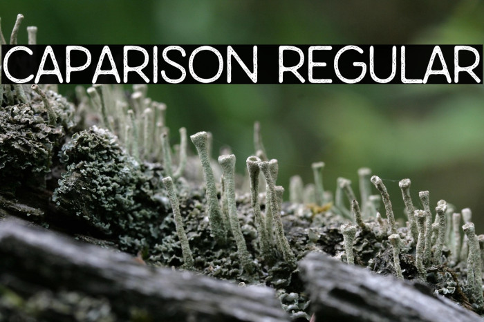 Caparison Regular Example 2