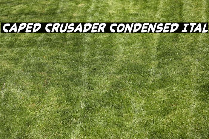 Caped Crusader Condensed Ital Example 3