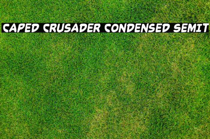 Caped Crusader Condensed SemIt Example 1