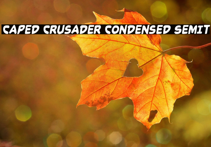 Caped Crusader Condensed SemIt Example 3