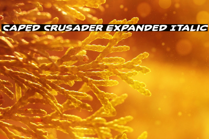 Caped Crusader Expanded Italic Example 2