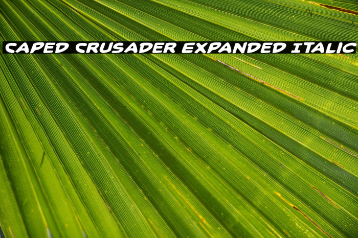 Caped Crusader Expanded Italic Example 3