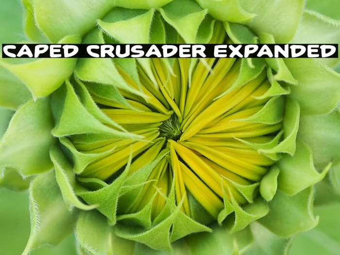 Caped Crusader Expanded Example 1