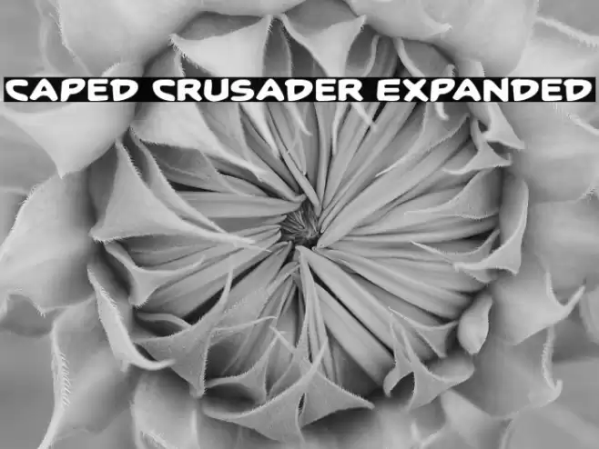 Caped Crusader Expanded خط examples