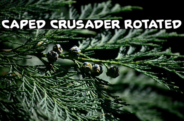 Caped Crusader Rotated Example 3