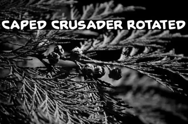 Caped Crusader Rotated Schriftart examples