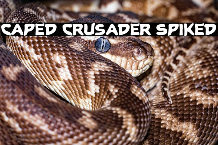 Caped Crusader Spiked Example 2