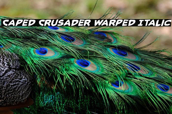 Caped Crusader Warped Italic Example 1