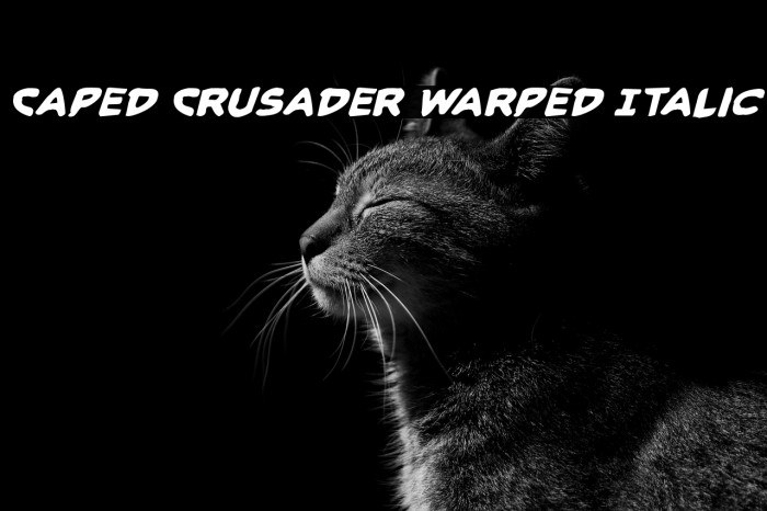 Caped Crusader Warped Italic Example 2