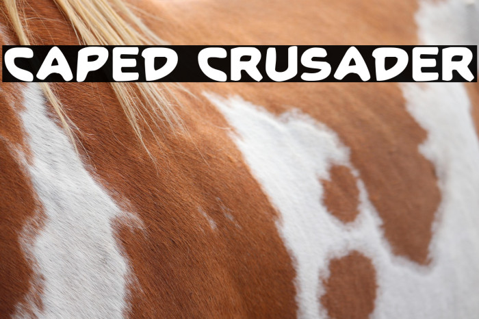 Caped Crusader Example 1