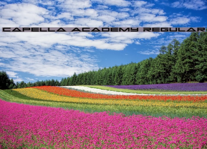 Capella Academy Regular Font examples