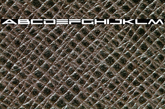 Capella Bold Expanded Example 1