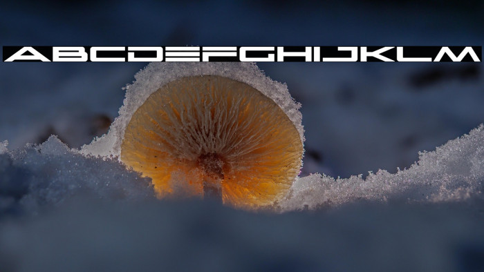 Capella Bold Expanded Example 2