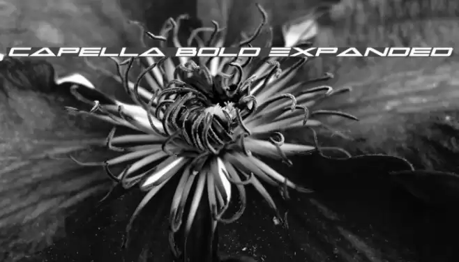 Capella Bold Expanded Font examples