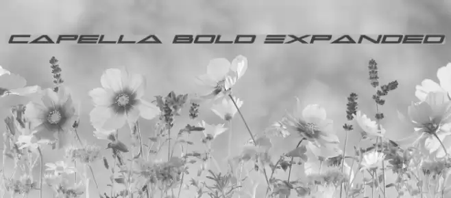 Capella Bold Expanded Font examples