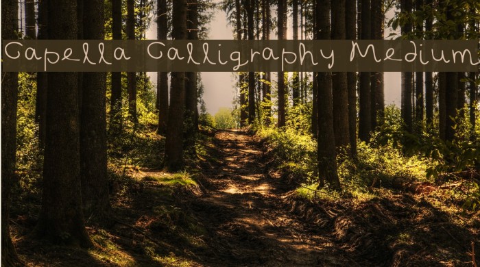 Capella Calligraphy Medium Font examples